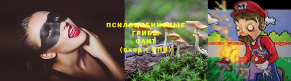 Альфа ПВП Абдулино