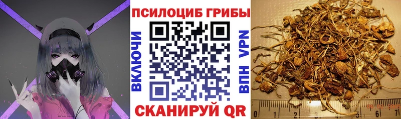 Галлюциногенные грибы прущие грибы купить наркоту Торопец